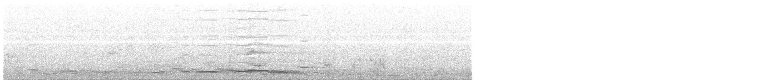 Flötenkrähenstar (telonocua/tyrannica) - ML203971491