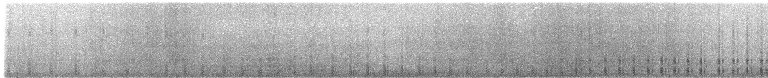 buřňák černobílý (ssp. capense) - ML203971921