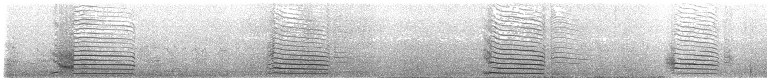 Светлоспинный альбатрос - ML203971971