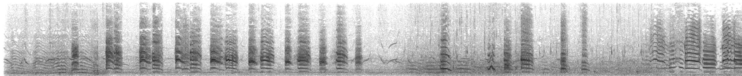 chaluha subantarktická (ssp. lonnbergi) - ML203972021