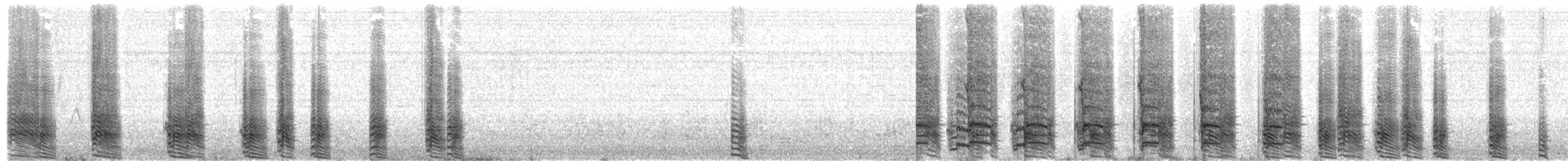 ミナミオオトウゾクカモメ（antarcticus） - ML203972051