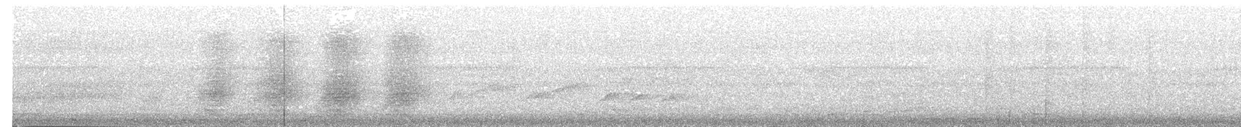 Pracht-Kragenparadiesvogel - ML203972371