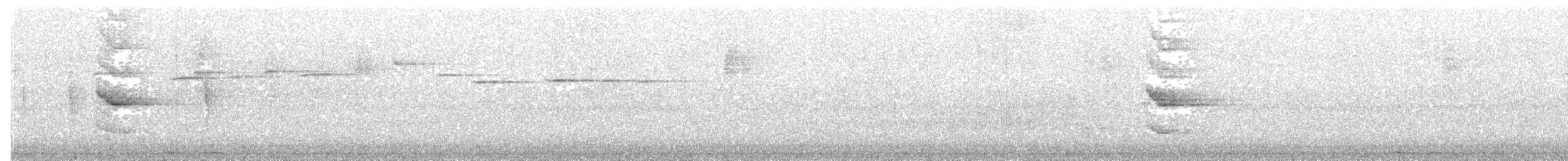 Pracht-Kragenparadiesvogel - ML203972381