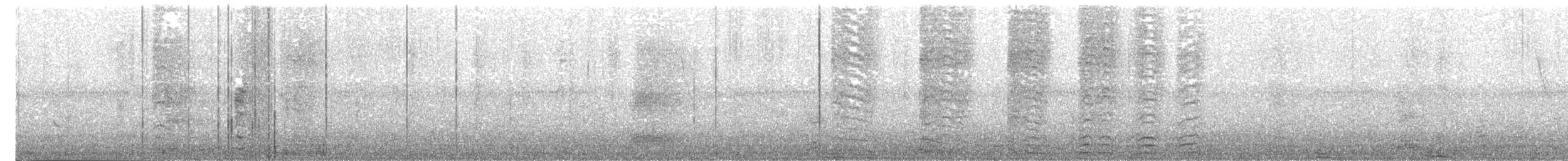 Sichelschwanz-Paradiesvogel - ML203972421