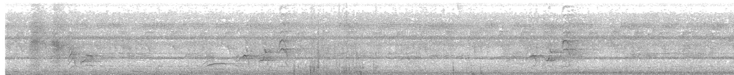 Velvet-mantled Drongo (Fanti) - ML203972631