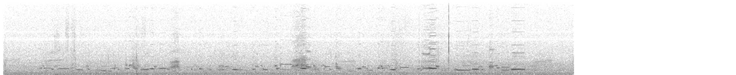 Flötenkrähenstar (telonocua/tyrannica) - ML203973081