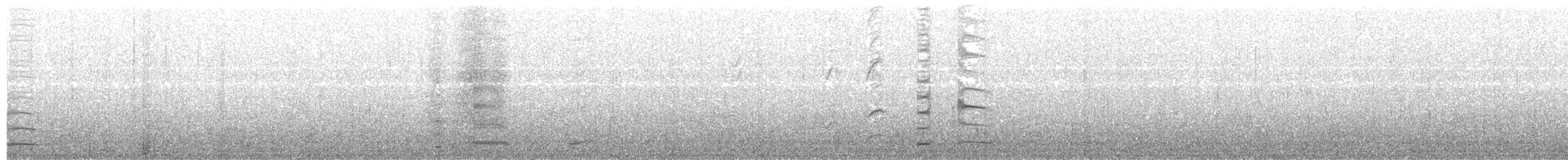 Cisne Negro - ML203973111