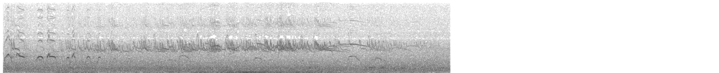 オーストラリアクロミヤコドリ - ML203973371