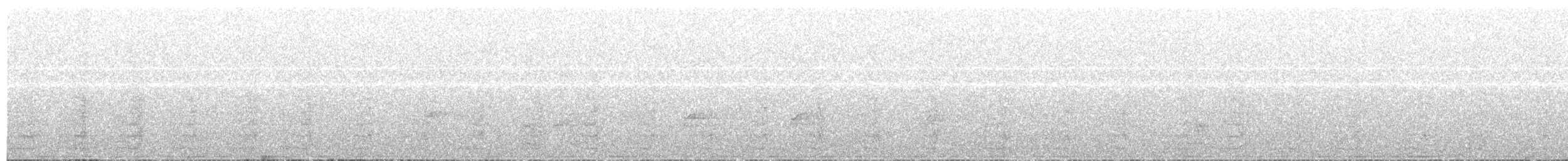 svarthaleparakitt - ML203973541