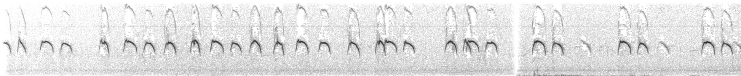 Red-necked Phalarope - ML203974161