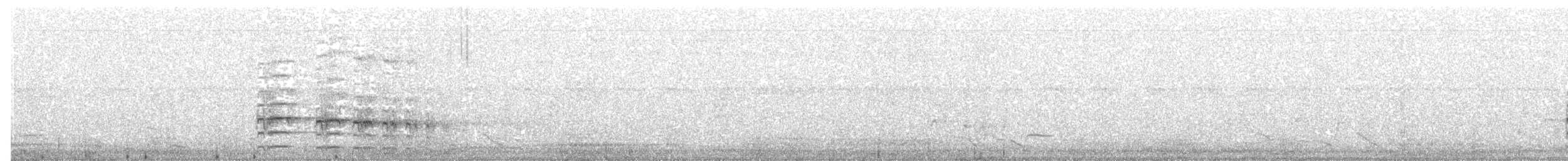 hvitstrupefrankolin (albogularis/buckleyi) - ML203974361