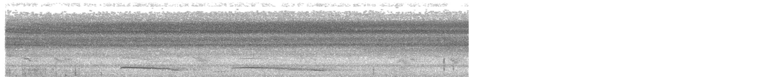 Белоплечий ибис - ML203974701