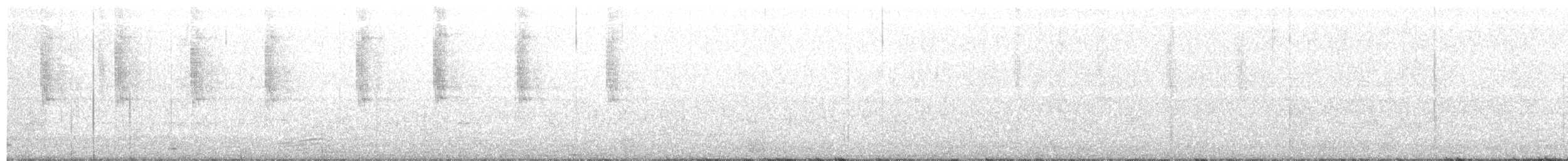 Зелоногрудый фиалкоух (cyanotus/crissalis) - ML203974921