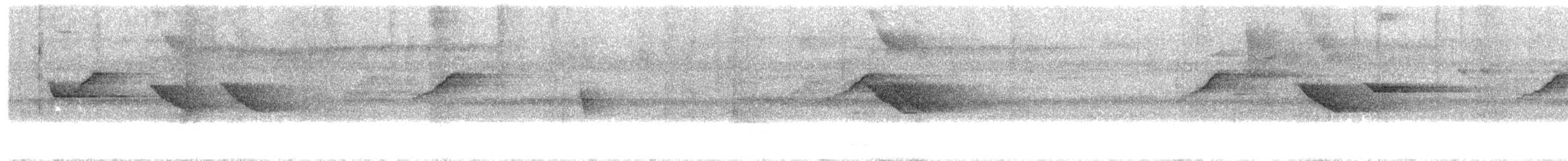 Sulawesi Myna - ML203974981