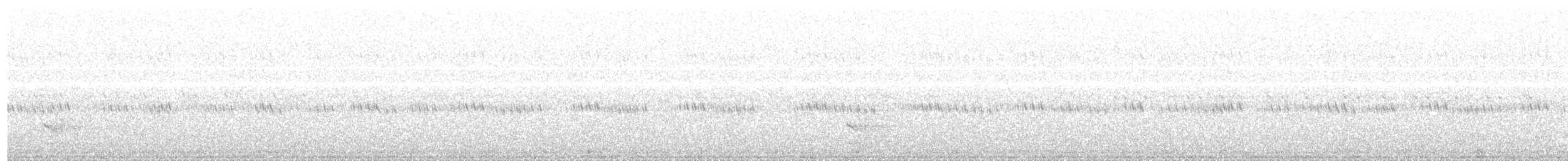 Australian Owlet-nightjar - ML203975831