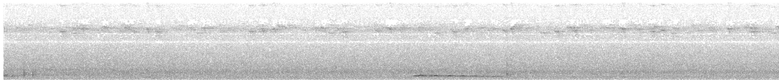 Білоніг новогвінейський (підвид plumiferus) - ML203975841