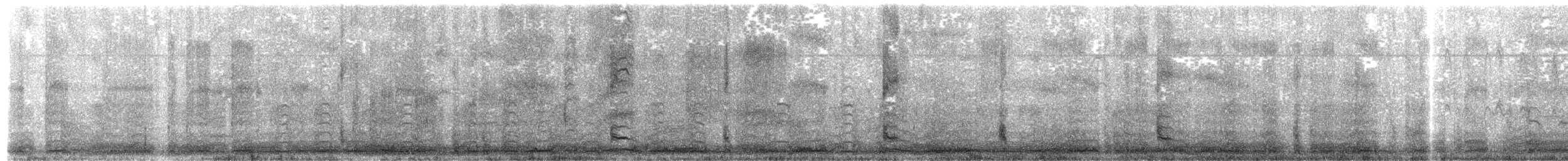 Prion de Belcher - ML203976191