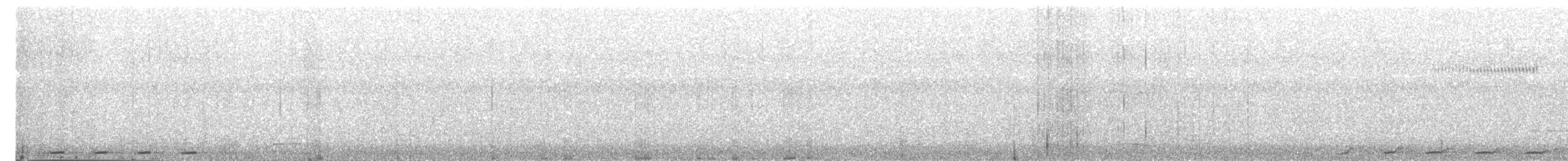 holub novoguinejský - ML203976761