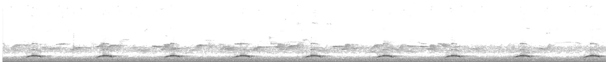 セアカウズラバト - ML203977631