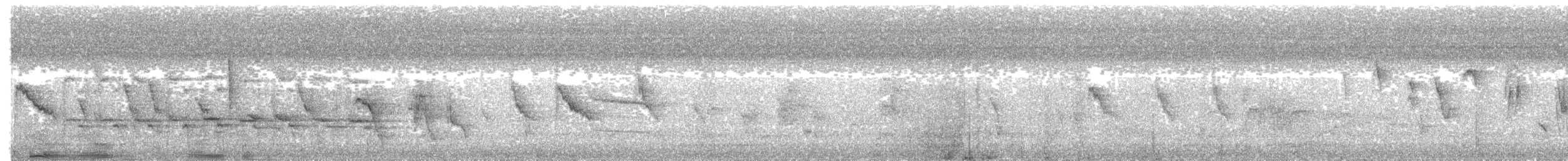 Майоттская белоглазка - ML203979131