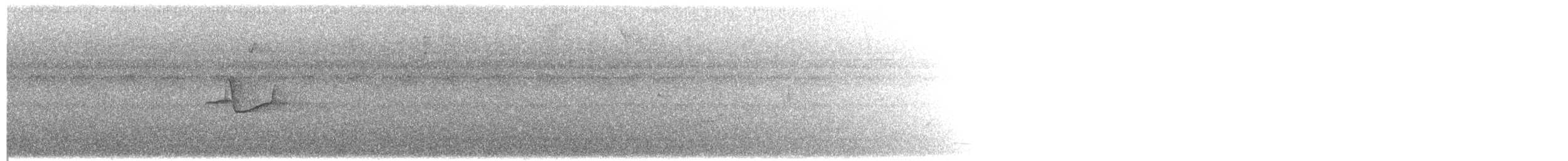 Forest Elaenia - ML203979581