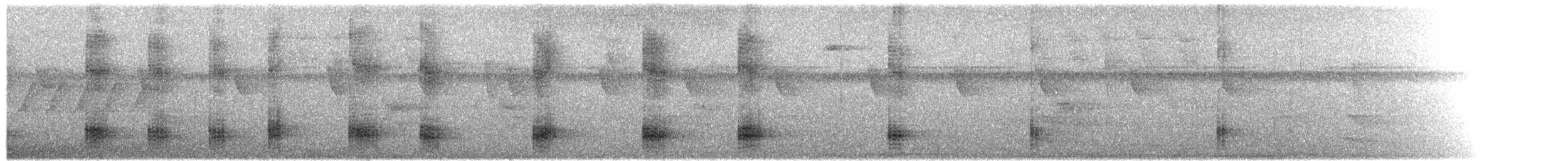 Spot-crowned Barbet - ML203979611