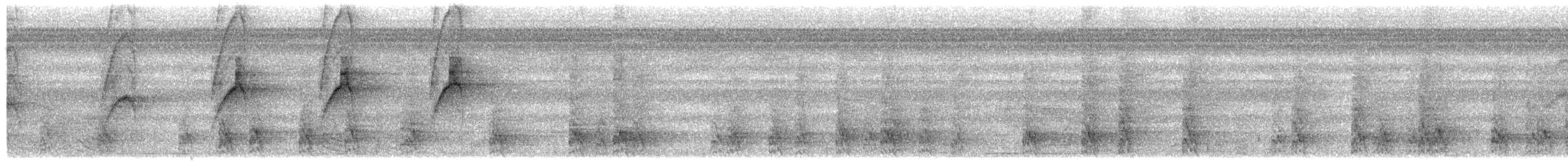 Orange-eyed Flatbill - ML203979621