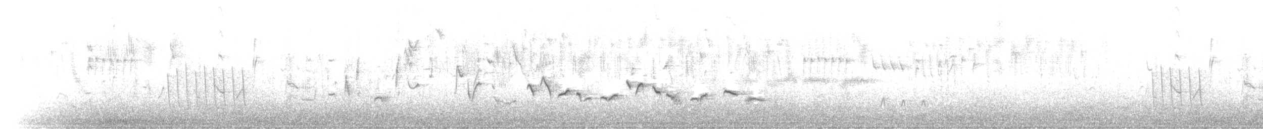 Eurasian Blackcap - ML203979711