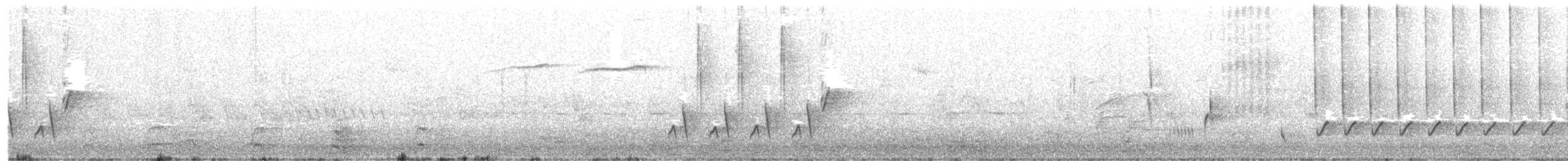 Common Nightingale (megarhynchos/africana) - ML203979731