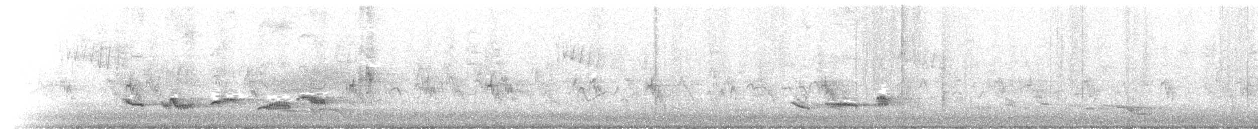 Eurasian Blackbird - ML203979771