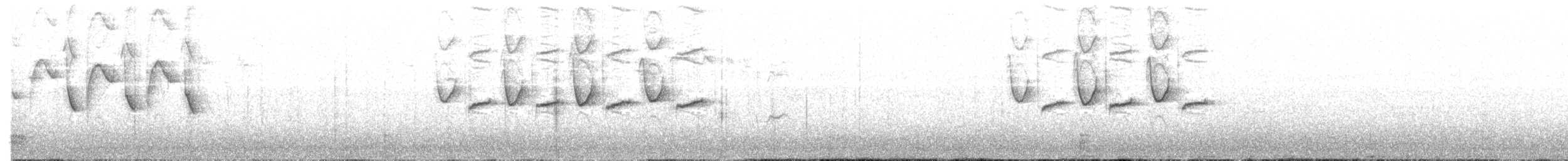 sýkora uhelníček (ssp. britannicus/hibernicus) - ML203980501