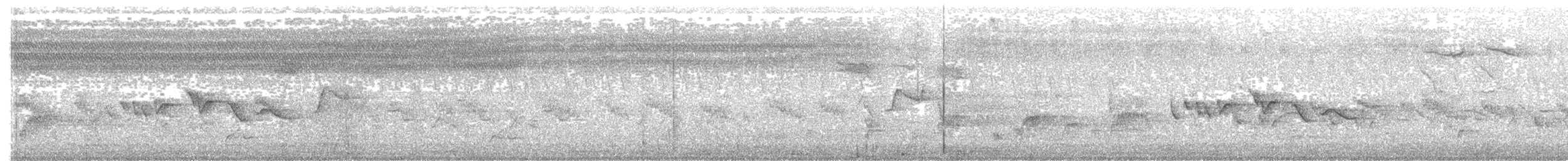 pěnička šedohřbetá (ssp. brachyura/carnapi) - ML203981311