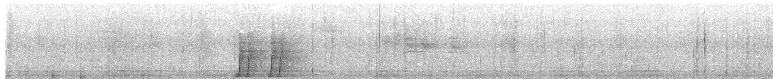 svartsigdnebb - ML203981521