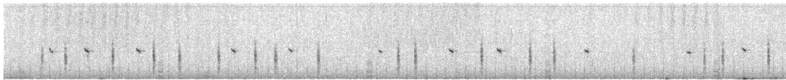 bělořit šedý (ssp. oenanthe/libanotica) - ML203981781