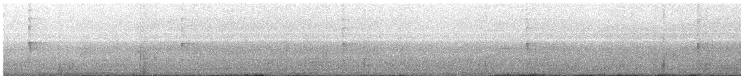 strakapoud velký [skupina major] - ML203982471