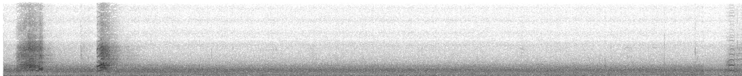 Чапля сіра (підвид cinerea/jouyi) - ML203982611