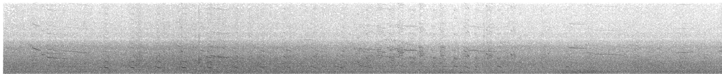 Yellow-legged Gull (michahellis) - ML203982691