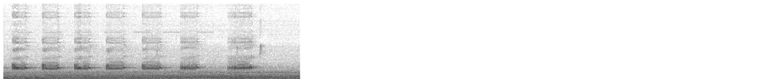 Western Swamphen - ML203982721