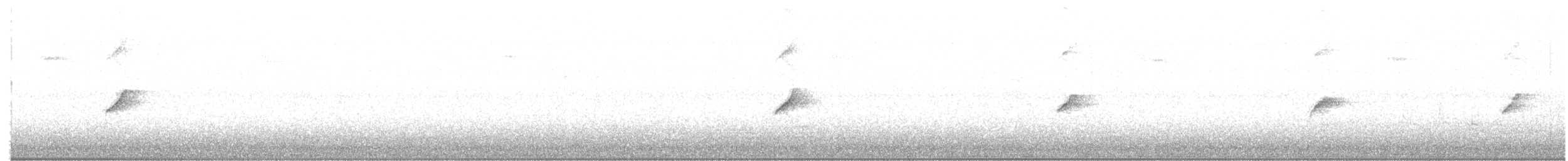 gransanger (collybita gr.) - ML203982821