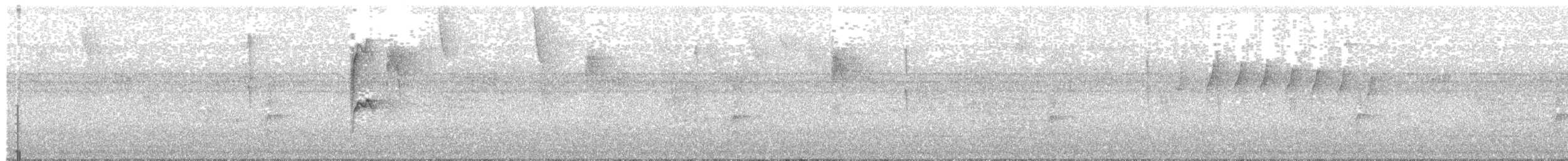 Restinga Tyrannulet - ML203983081