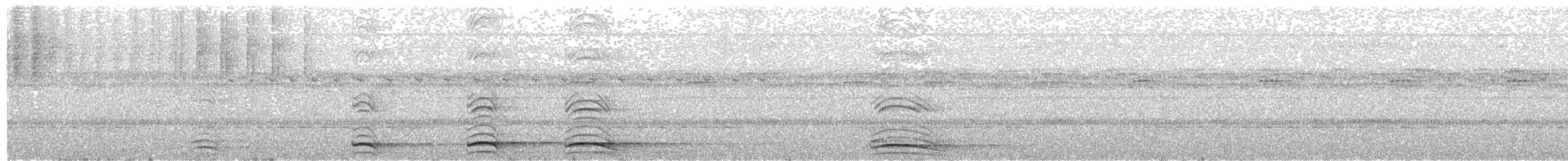 Collared Forest-Falcon - ML203983161