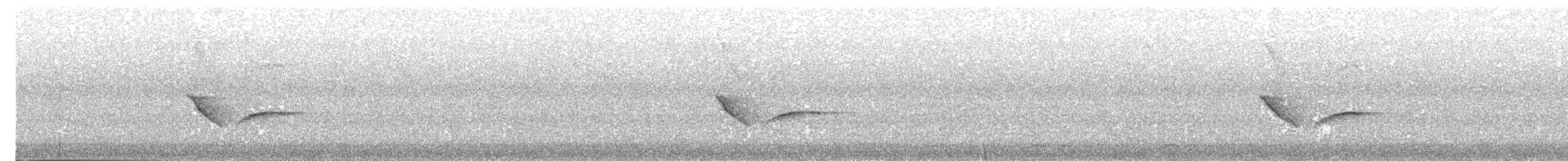 Rufous-backed Honeyeater - ML203983641