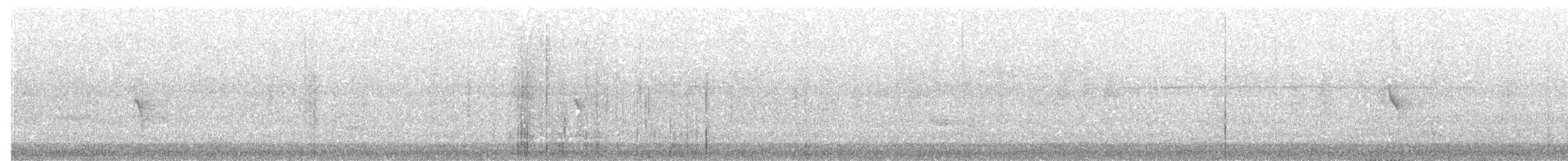 fijiplystrer (vitiensis gr.) - ML203983731