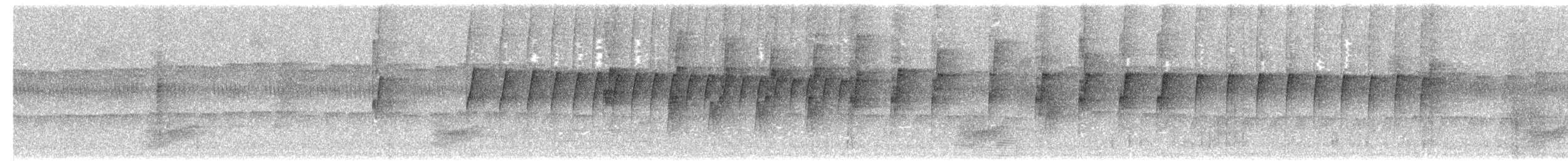 Titirijí Cabecigrís - ML203984241