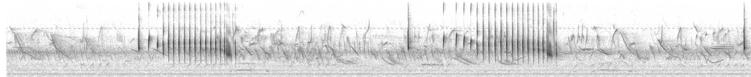 tyran savanový (ssp. savana) - ML203984281