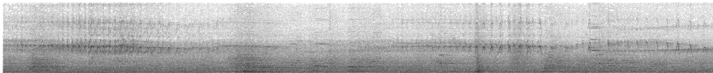 シロハラアマツバメ - ML203984711
