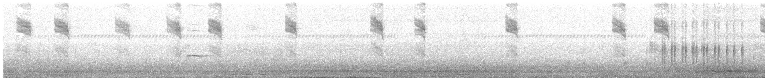 Spotted Flycatcher (Mediterranean) - ML203984811