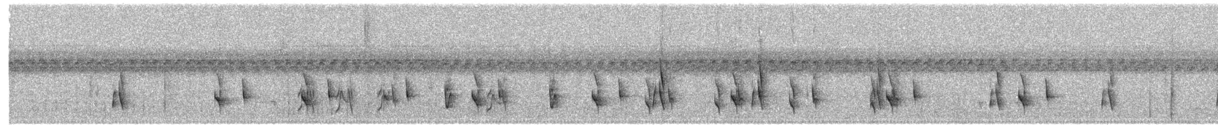 Marsh Antwren (Parana) - ML203986181