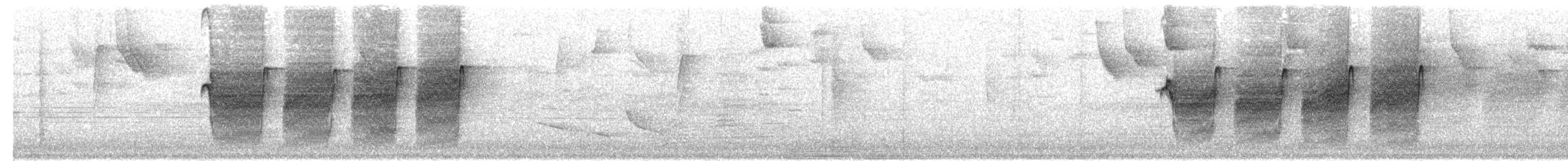 Rufous-tailed Antbird - ML203986201