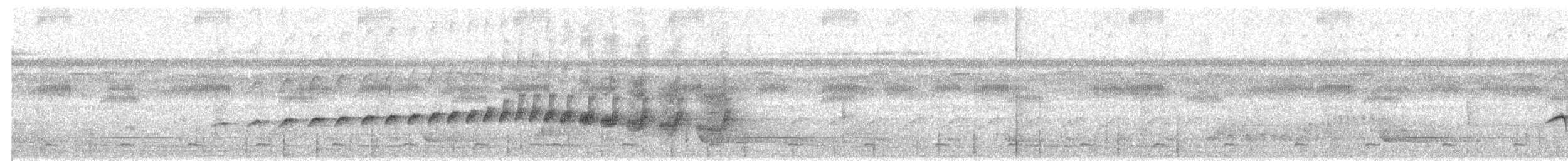 Band-tailed Antbird - ML203986211